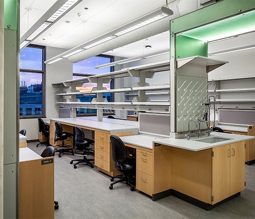 Alvine - Engineering innovation through science, art and business.