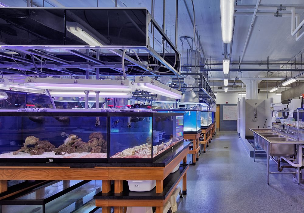 Interior shot of Des Moines' Central Campus' marine biology lab