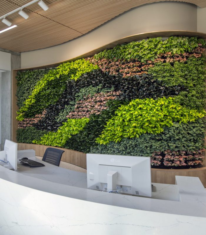 Interior shot of University of California, Irvine Susan and Henry Samueli College of Health Sciences' front desk with a green wall behind it